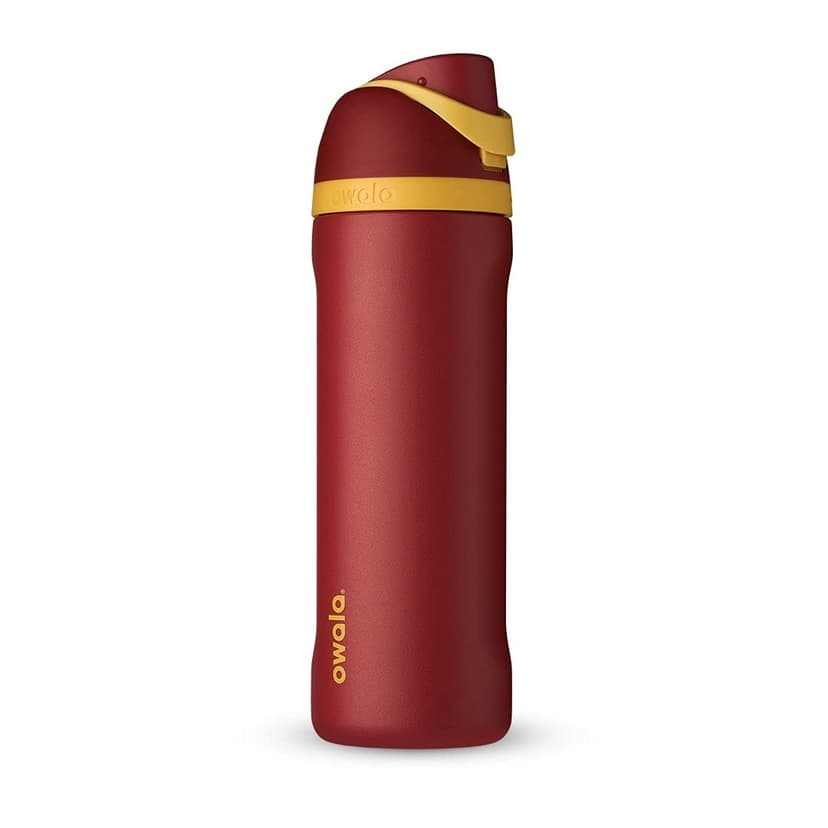 Owala Harry Potter FreeSip Stainless Steel Water Bottle 24 oz Gryffindor