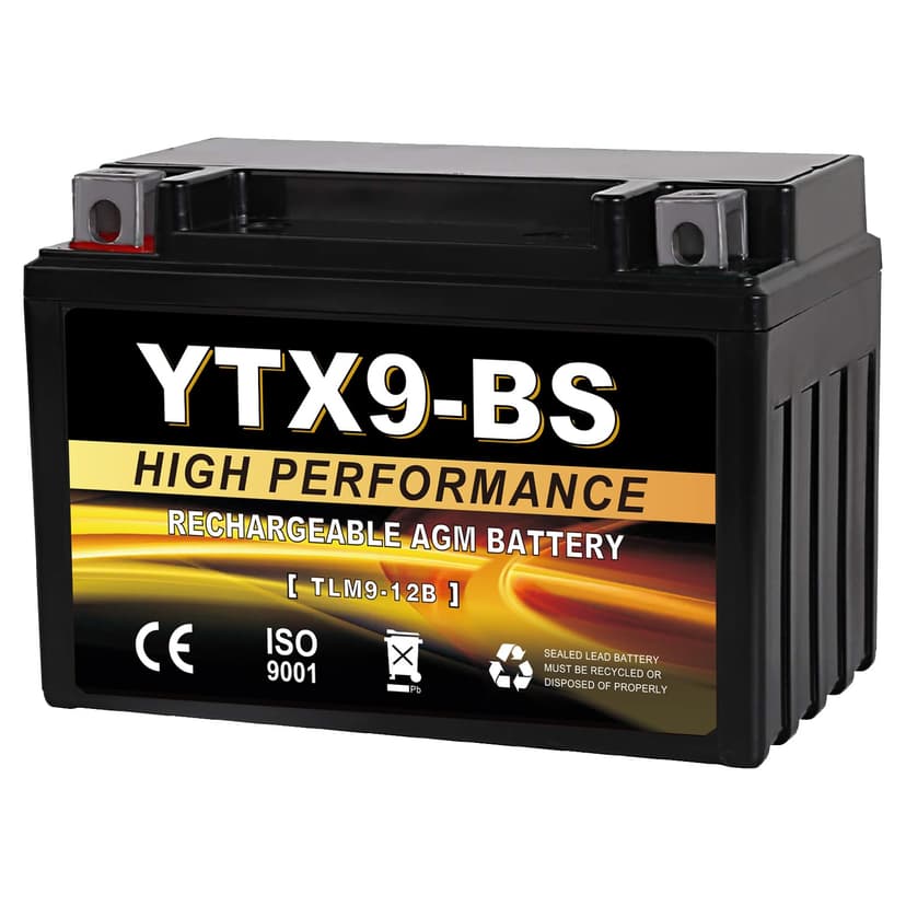 Daakmax YTX9-BS 12V 9Ah AGM Sealed Motorcycle Battery, Maintenance-Free, Compatible with Honda Polaris Suzuki, Replacement for YTX9-BS, ETX9, GTX9-BS